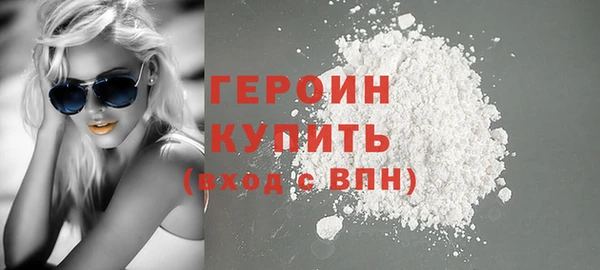 гидра Богородицк