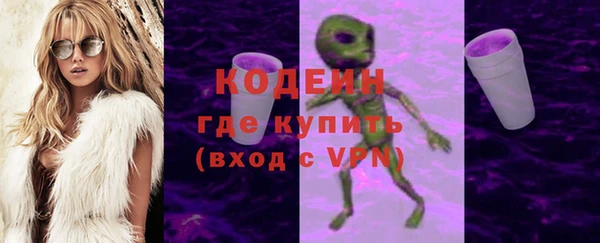 гидра Богородицк