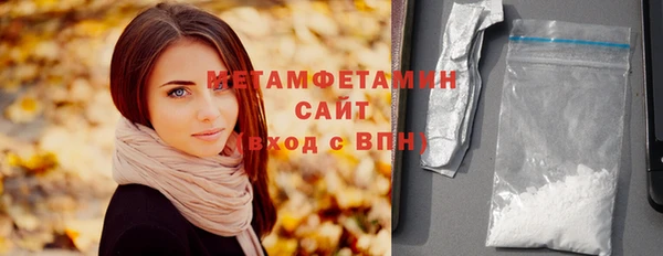 гидра Богородицк