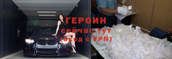 гидра Богородицк
