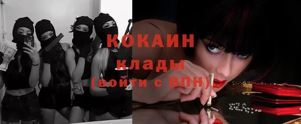 ешки Богданович