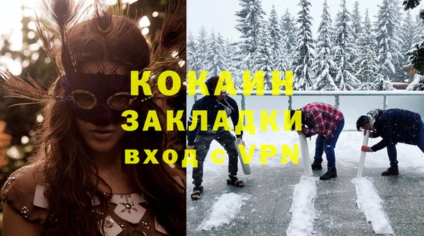 гидра Богородицк