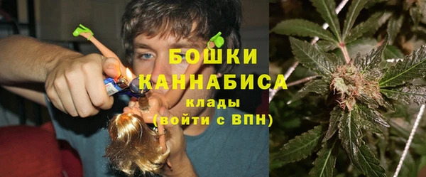 гидра Богородицк