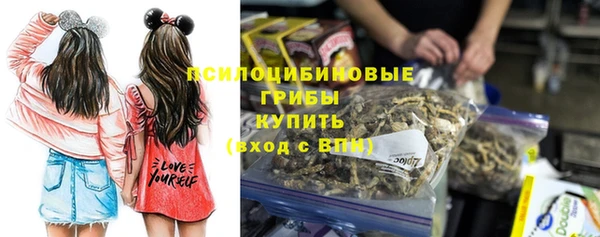 гидра Богородицк