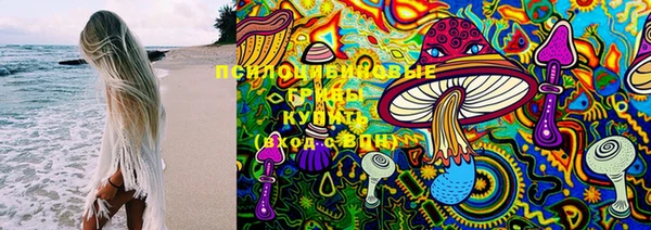 гидра Богородицк