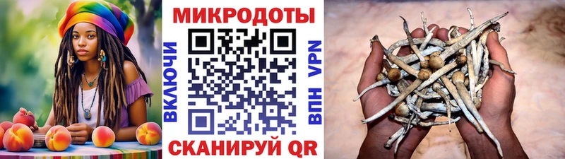 цены наркотик  Динская  Галлюциногенные грибы Psilocybine cubensis 